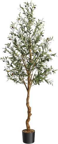 GAOMON Artificial Olive Tree 6FT(72in) Tall Faux Olive Trees with Silk Leaves for Home Office Living Room Decor Indoor Fake Olive Tree with Curved Wood Trunk and Lifelike Fruits 1 Pack in Saudi Arabia