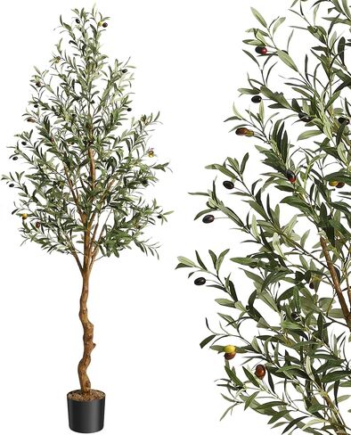 GAOMON Artificial Olive Tree 6FT(72in) Tall Faux Olive Trees with Silk Leaves for Home Office Living Room Decor Indoor Fake Olive Tree with Curved Wood Trunk and Lifelike Fruits 1 Pack in Saudi Arabia