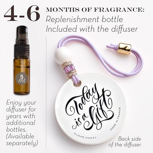 Luxury Car Air Freshener for Women - Refillable & Portable Essential Oil Fragrance Diffuser - Cute Car Accessories & Interior Decor - Mirror Hanging or Vent Clips - Pink Heart Charm, Rose Scent in Saudi Arabia