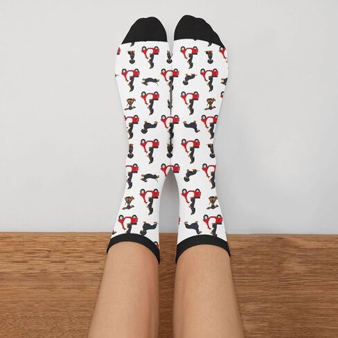 MOLIAN Dachshund Dogs Socks for Men Women Novelty Crew Socks Funny Crazy Stockings Gifts in Saudi Arabia