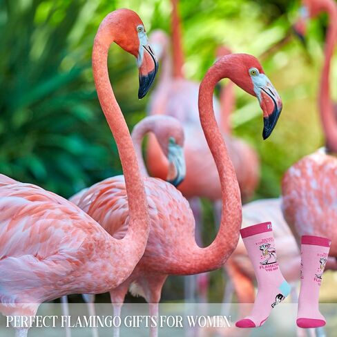 هدايا InnoBeta Flamingo للجوارب النسائية، جوارب دائرية مقاس واحد لمحبي فلامنغو النساء في عيد الميلاد - أنا فلامنغو in Saudi Arabia