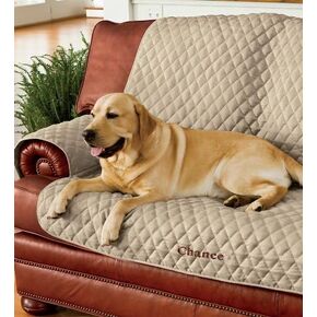 Plow & Hearth Polyester Pet Chair Protective Cover, in Taupe