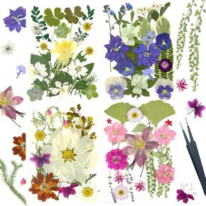 Pressed Flowers Bulk Dried Flowers for Candle Making Supplies Crafts Epoxy Resin Scrapbook Supplies Beauty Makeup 80pcs Edible Flowers for Cake Decoration kit with 1pc Tweezers Forest Series