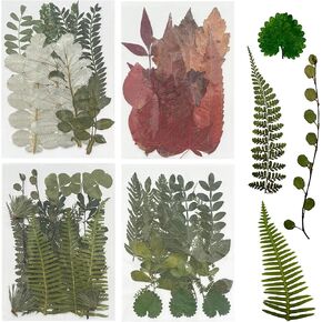 Woohome 4 Pack Dried Flowers for Resin Molds, 85 Pcs Real Natural Dried Pressed Flowers, Orange Natural Dried Pressed Leaves for Pressed Leaf Art Craft DIY Embellishment Decorations