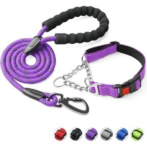 Dog Collar and Leash Set,Martingale Dog Collar with Quick Release Buckle,Reflective Dog Leash & Adjustable No Pull Dog Collar with Soft Breathable Neoprene Padded for Small Medium Large Dogs