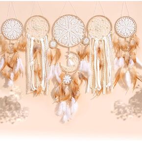 Dream Catcher Set of 5 Boho Wall Hanging Decor Handmade Traditional Feathers Dream Catchers for Kids Bedroom Living Home Decoration