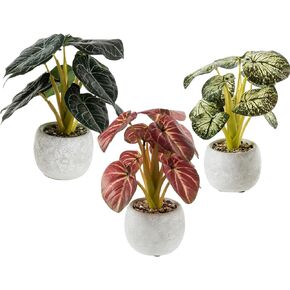 MyGift Set of 3 Realistic Artificial Plant, Tabletop Mixed Color Leafy Greenery Plants in Gray Cement Planter Pots with Flowers & Garden Text Deisgn