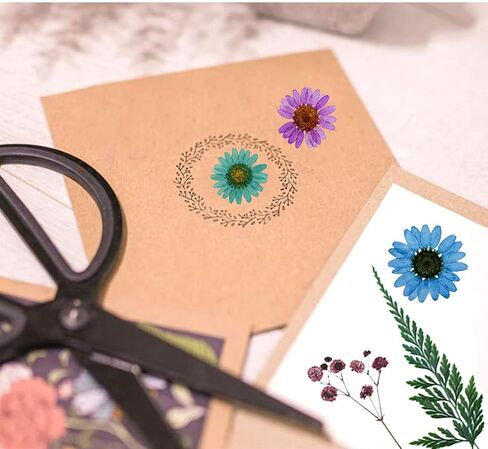 4 عبوات من الزهور المجففة لقوالب الراتنج من Woohome، 85 قطعة من الزهور الطبيعية المجففة المضغوطة، أوراق البرتقال الطبيعية المجففة المضغوطة لأوراق الشجر المضغوطة الفنية لتزيين الزينة بنفسك in Saudi Arabia
