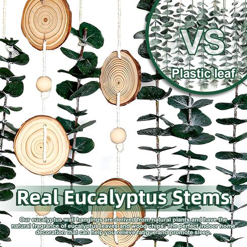 جدار الأوكالبتوس الحقيقي معلق لديكور الحمام - أوراق خضراء مجففة ينبع نباتات معلقة على الحائط على عصا خشبية مقاس 16.5 بوصة ديكور مزرعة ريفي بوهو لغرفة النوم والمطبخ وغرفة الطعام والحمام in Kuwait