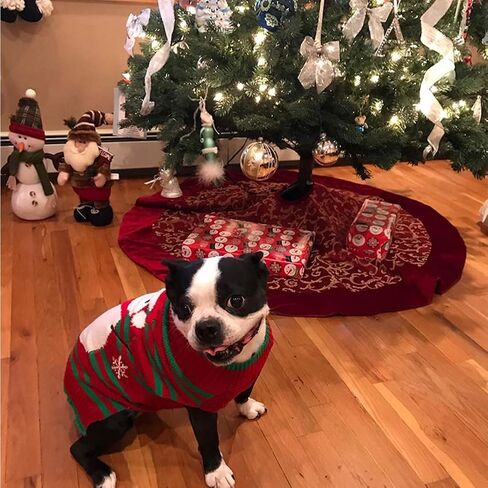 NACOCO Dog Snow Sweaters Snowman Sweaters Xmas Dog Holiday Sweaters New Year Christmas Sweater Pet Clothes for Small Dog and Cat (Snowman,M) in Saudi Arabia