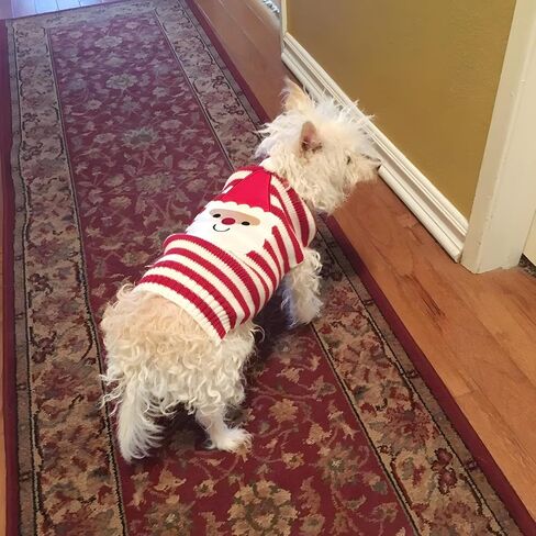 NACOCO Dog Snow Sweaters Snowman Sweaters Xmas Dog Holiday Sweaters New Year Christmas Sweater Pet Clothes for Small Dog and Cat (Snowman,M) in Saudi Arabia
