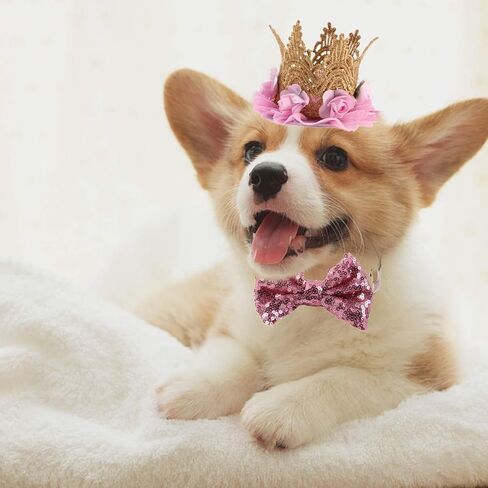 3 Packs Dog Birthday Party Supplies Girl Dog Pink Tutu Skirt Birthday Crown Hat Bowtie Pet Costume Apparel Small Dogs Cats Puppy Cute Dresses (Hat+Bowtie+Skirt) in Kuwait