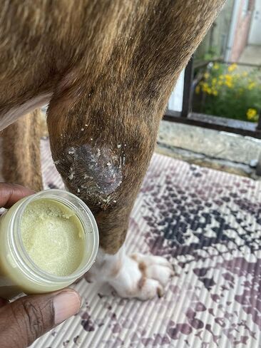 Jacquie's Natural Products Sage and Fennel Pet Protective Balm 2 oz|Soothes, Relieves, Dry and Itchy Skin, Dog Paw Protector, Paw Hot Spot Protector in Saudi Arabia