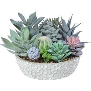 Premium Assorted Artificial Succulent Collection - Large Real Touch Artificial Cactus, Aloe Vera & Succulent Plants Artificial with Pots for Home Office Indoor (Artificial Coconut Shell - Pot) in Kuwait