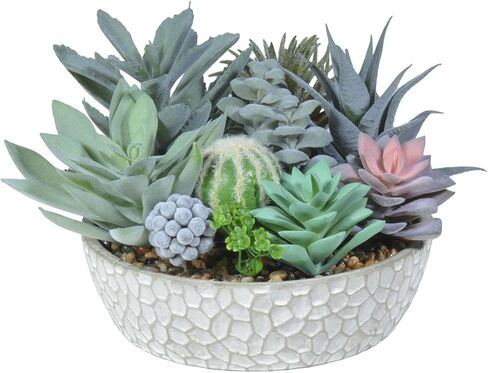 Premium Assorted Artificial Succulent Collection - Large Real Touch Artificial Cactus, Aloe Vera & Succulent Plants Artificial with Pots for Home Office Indoor (Artificial Coconut Shell - Pot) in Kuwait