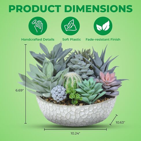 Premium Assorted Artificial Succulent Collection - Large Real Touch Artificial Cactus, Aloe Vera & Succulent Plants Artificial with Pots for Home Office Indoor (Artificial Coconut Shell - Pot) in Kuwait