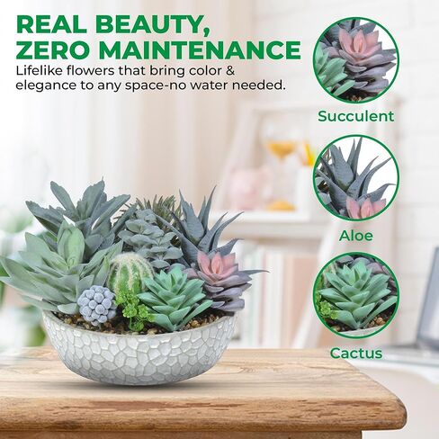 Premium Assorted Artificial Succulent Collection - Large Real Touch Artificial Cactus, Aloe Vera & Succulent Plants Artificial with Pots for Home Office Indoor (Artificial Coconut Shell - Pot) in Kuwait