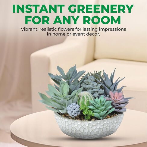 Premium Assorted Artificial Succulent Collection - Large Real Touch Artificial Cactus, Aloe Vera & Succulent Plants Artificial with Pots for Home Office Indoor (Artificial Coconut Shell - Pot) in Kuwait