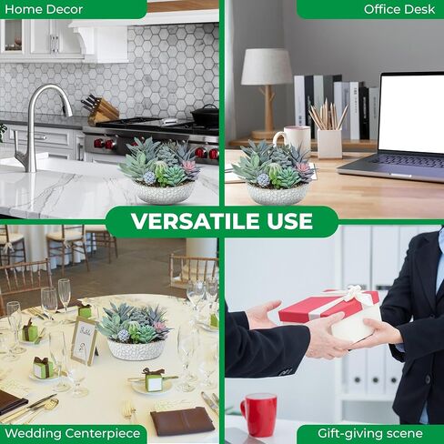 Premium Assorted Artificial Succulent Collection - Large Real Touch Artificial Cactus, Aloe Vera & Succulent Plants Artificial with Pots for Home Office Indoor (Artificial Coconut Shell - Pot) in Kuwait