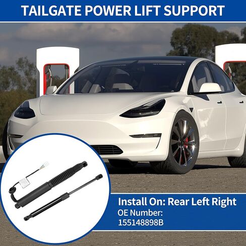 دعم رفع الطاقة للباب الخلفي الأيسر والأيمن لطراز تسلا 3 2021 2022 2023 فتحة الباب الخلفي للصدمات رقم 155148898B قوة الصندوق الكهربائي 1 زوج in Kuwait