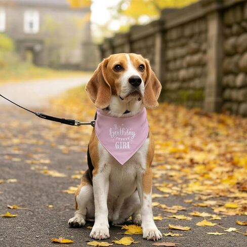 Birthday Girl Dog Bandana, Apricot Pink Dog Bandana, Funny Cute Dog Bandana, Pet Dog Triangle Scarf, Pet Dog Scarf Accessories, Gift for Dog Lover, Dog Bandana for Small Medium Large Dogs (D33) in Saudi Arabia