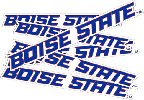 Desert Cactus Boise State University Broncos Stickers Vinyl Decals Laptop Water Bottle Car Scrapbook 11.38x8.94 Sheet T3 (Type 3-1) in Saudi Arabia
