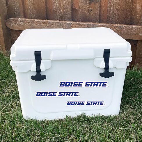 Desert Cactus Boise State University Broncos Stickers Vinyl Decals Laptop Water Bottle Car Scrapbook 11.38x8.94 Sheet T3 (Type 3-1) in Saudi Arabia