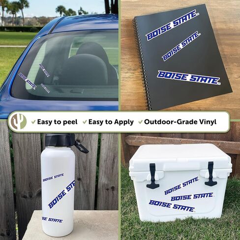 Desert Cactus Boise State University Broncos Stickers Vinyl Decals Laptop Water Bottle Car Scrapbook 11.38x8.94 Sheet T3 (Type 3-1) in Saudi Arabia