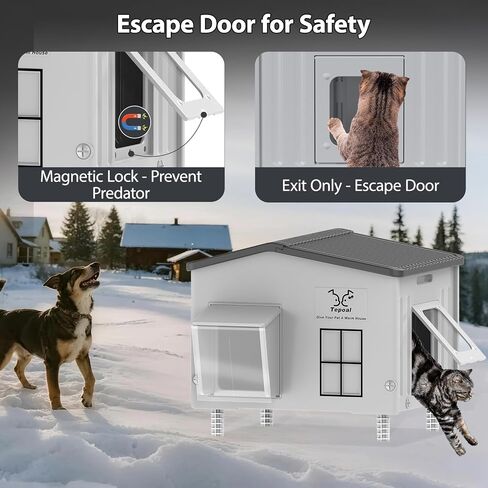 Large Indestructible Heated Cat House for Outside, Extremely Waterproof & Weatherproof Heated Outdoor Cat House for Winter, Fully Insulated Feral Cat Shelter for Outdoor Barn Cats Strays, 20x16x20 in in Saudi Arabia