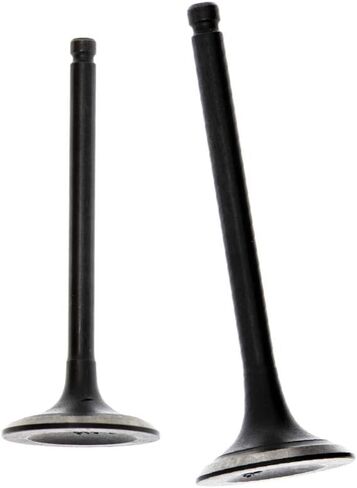 NICHE Cylinder Head Intake Exhaust Valve for Yamaha Kodiak Big Bear Grizzly Warrior Raptor 350 400 1UY-12121-01-00 in Saudi Arabia