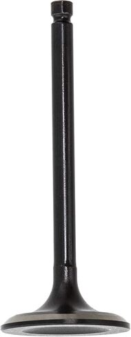 NICHE Cylinder Head Intake Exhaust Valve for Yamaha Kodiak Big Bear Grizzly Warrior Raptor 350 400 1UY-12121-01-00 in Saudi Arabia