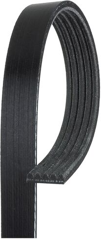 ACDelco Gold 5K355 Standard V-Ribbed Serpentine Belt in Saudi Arabia