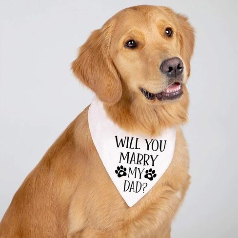 Big Brother Pregnancy Announcement Dog Bandana, Gender Reveal Photo Prop, Pet Scarf Accessories,Pet Scarves for Dog Lovers in Kuwait