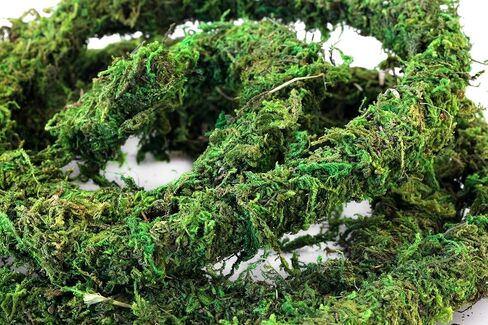 SuperMoss (22711 MossVine Garland, Fresh Green, 12ft in Kuwait