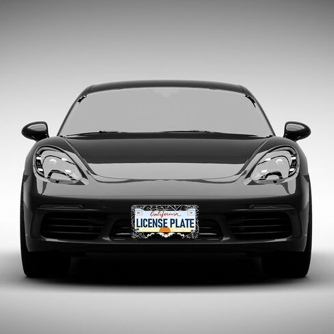 Bat License Plate Frames - 2 Pack Front Rear Sprider Web Bat Goth Gothic License Plates Holder Covers, Aluminum Metal Rust-Proof Waterproof Car Tag Frame with Screws Fasteners Caps in Saudi Arabia
