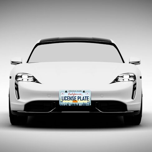 Bat License Plate Frames - 2 Pack Front Rear Sprider Web Bat Goth Gothic License Plates Holder Covers, Aluminum Metal Rust-Proof Waterproof Car Tag Frame with Screws Fasteners Caps in Saudi Arabia