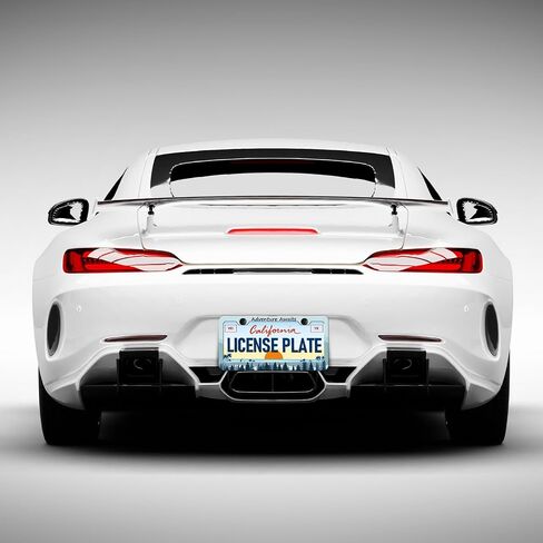 Bat License Plate Frames - 2 Pack Front Rear Sprider Web Bat Goth Gothic License Plates Holder Covers, Aluminum Metal Rust-Proof Waterproof Car Tag Frame with Screws Fasteners Caps in Saudi Arabia