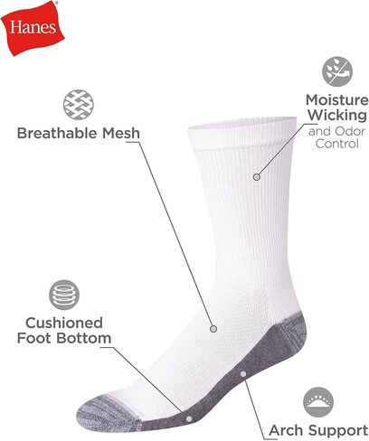 Hanes mens X-Temp 12-Pack Active Cool Crew Socks in Kuwait