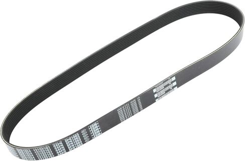 ACDelco GM المعدات الأصلية 12732707 حزام أفعواني in Saudi Arabia