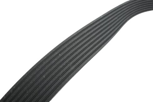 ACDelco GM المعدات الأصلية 12732707 حزام أفعواني in Saudi Arabia