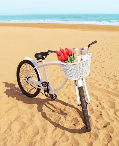 Colorbasket Adult Front Handlebar in Kuwait