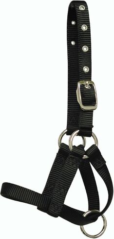 Hamilton 5/8 Inch Alpaca Halter with Buckle Adjustable Head Strap, Average, Black in Saudi Arabia