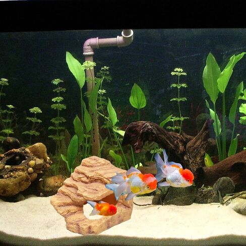 Large Rock Cave Hideout for Reptiles & Amphibians - Ideal for Bearded Dragons, Turtles, Snakes, Lizards, Geckos, Tortoises & Small Pets - Terrarium & Aquarium Decor, Safe Reptile Habitat in Kuwait