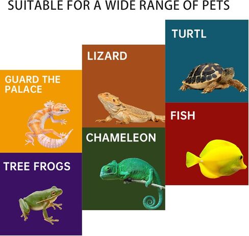 Large Rock Cave Hideout for Reptiles & Amphibians - Ideal for Bearded Dragons, Turtles, Snakes, Lizards, Geckos, Tortoises & Small Pets - Terrarium & Aquarium Decor, Safe Reptile Habitat in Kuwait