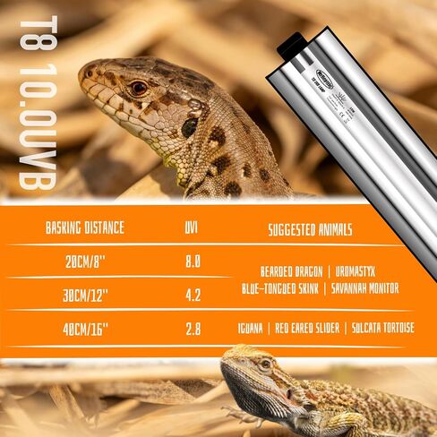 T8 UVB Reptile Lamp, 2-Pack 15W 10.0 UVB Light Bulbs, German Raw Material Fluorescent Lamp, Liner UVB Tube for Desert-Dwelling Reptiles, Bearded Dragon UVB Light 18 inches in Kuwait