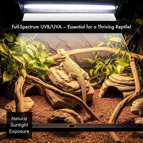 T8 UVB Reptile Lamp, 2-Pack 15W 10.0 UVB Light Bulbs, German Raw Material Fluorescent Lamp, Liner UVB Tube for Desert-Dwelling Reptiles, Bearded Dragon UVB Light 18 inches in Kuwait