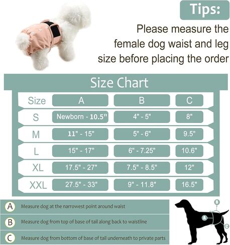 Female Dog Diapers 5Pcs - Premium Reusable Diapers for Doggie in Heat - Highly Absorbent Dog Diapers Female for Pet Incontinence with Adjustable Snaps,Flowers M in Kuwait