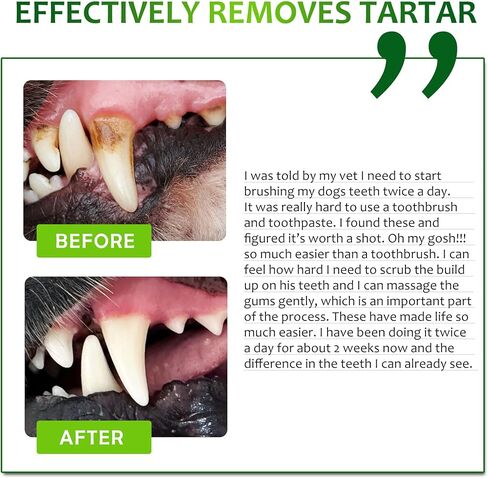 مناديل العناية بالأسنان للكلاب والقطط ، 50 عددًا ، تنظيف الأسنان وتنظيف اللثة ، إزالة البلاك وإزالة الجير in Kuwait