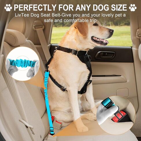 LivTee Dog Seat Belt for Car, 2 Packs Set Retractable Dog Car Harness Adjustable and Comfortable Dog Car Seatbelt Leash, Elastic Nylon Pet Safety Seatbelts for Vehicles, Dog Accessories for Car(Black) in Kuwait