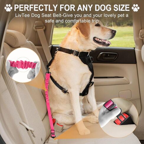 LivTee Dog Seat Belt for Car, 2 Packs Set Retractable Dog Car Harness Adjustable and Comfortable Dog Car Seatbelt Leash, Elastic Nylon Pet Safety Seatbelts for Vehicles, Dog Accessories for Car(Black) in Kuwait